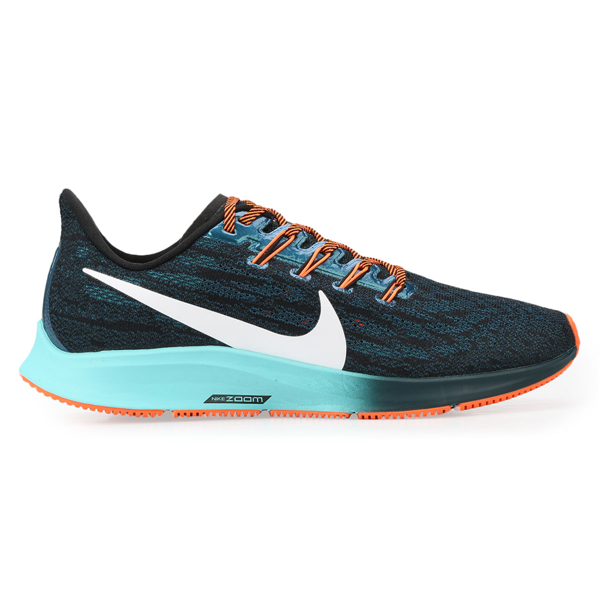 Pegasus 36 fecha 2025