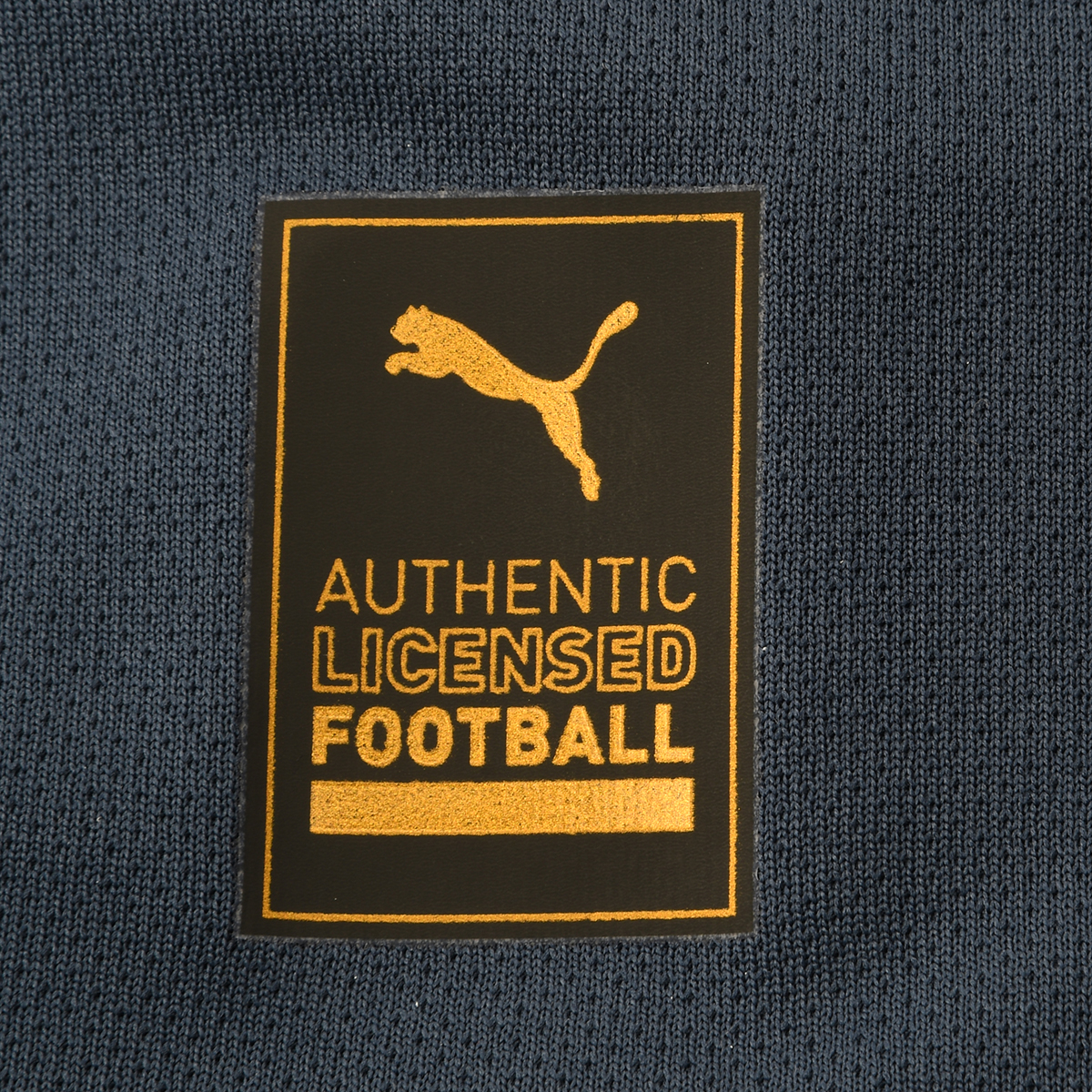 Camiseta Fútbol Puma Club Atlético Independiente II Suplente Hombre,  image number null