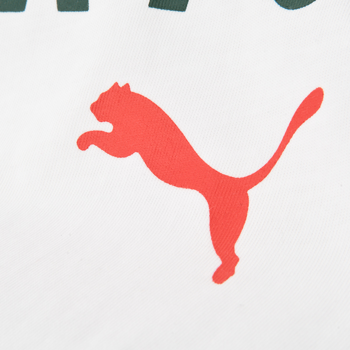 Remera Portugal Puma FtblNRGY Hombre,  image number null