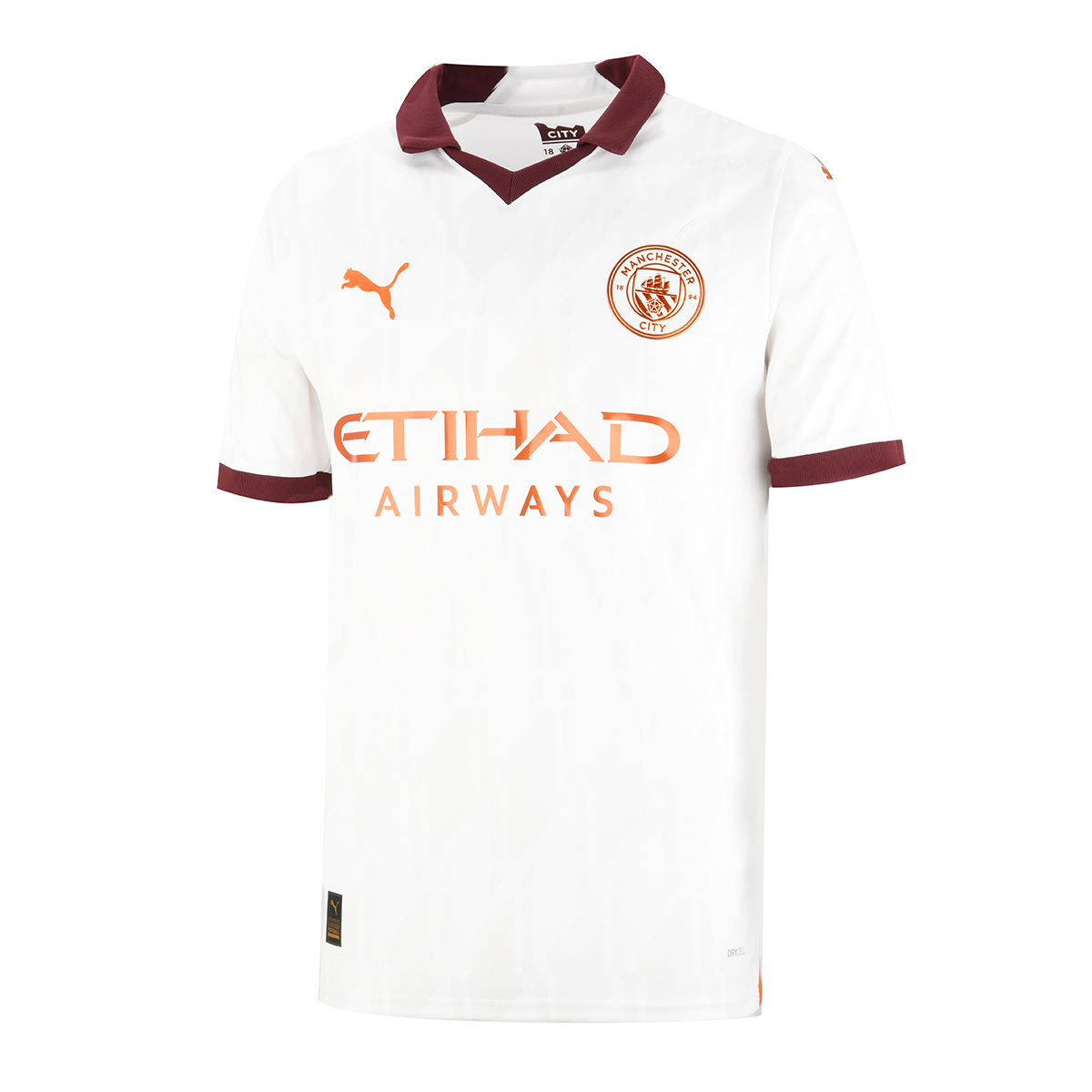 Camiseta Puma Manchester City Suplente 23/24 Hombre,  image number null
