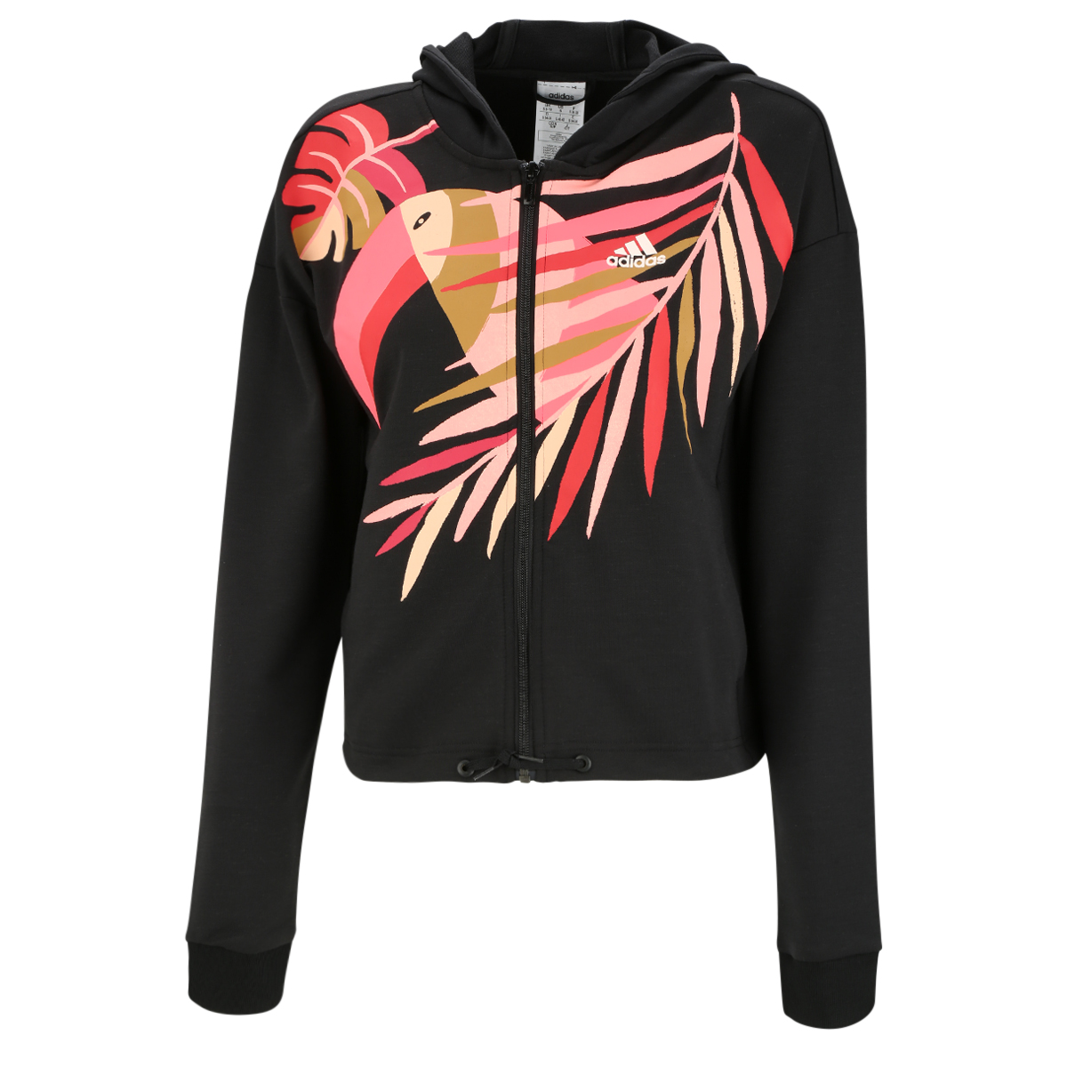 Campera farm sale