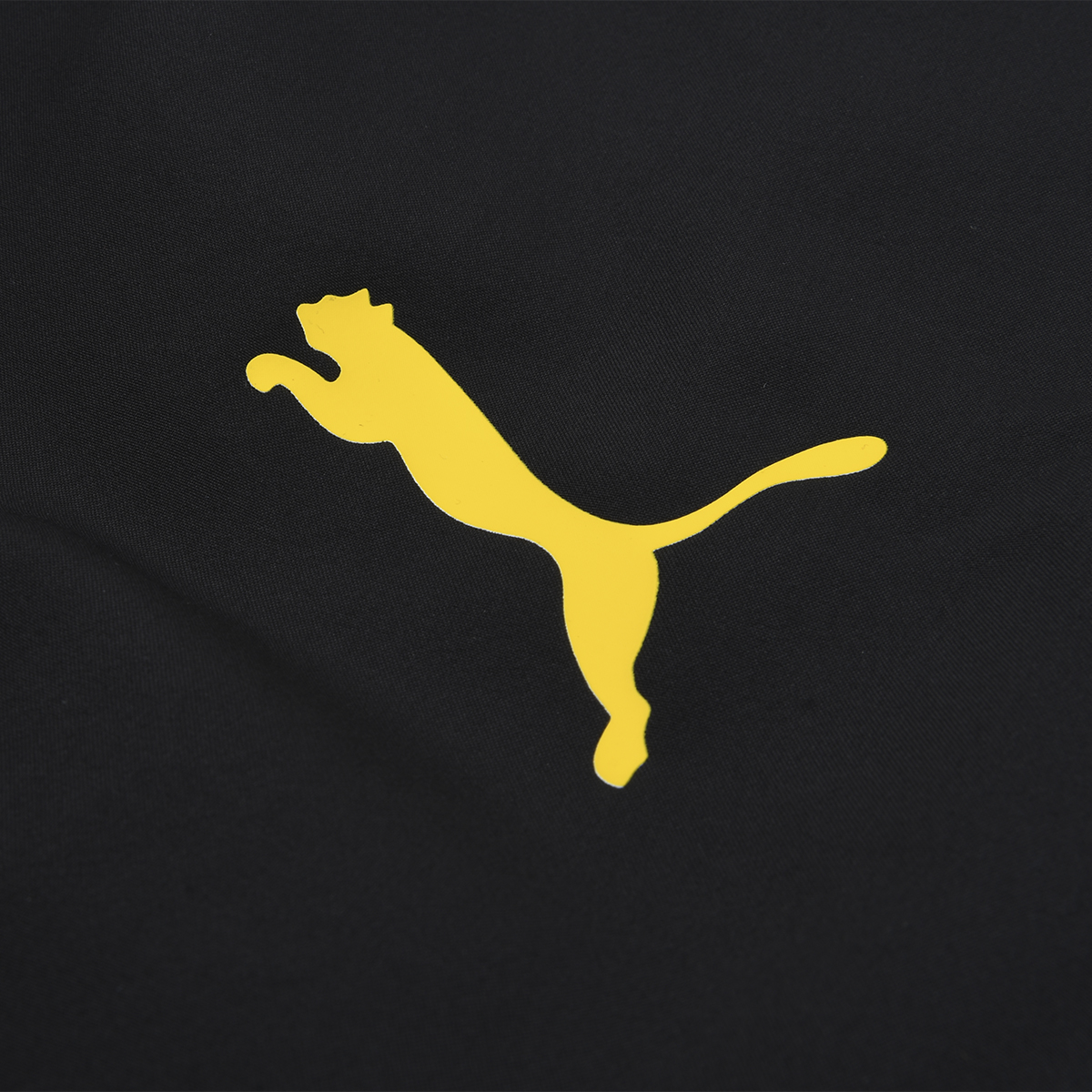 Pantalón Borussia Dortmund Puma Entrenamiento 24 Hombre,  image number null