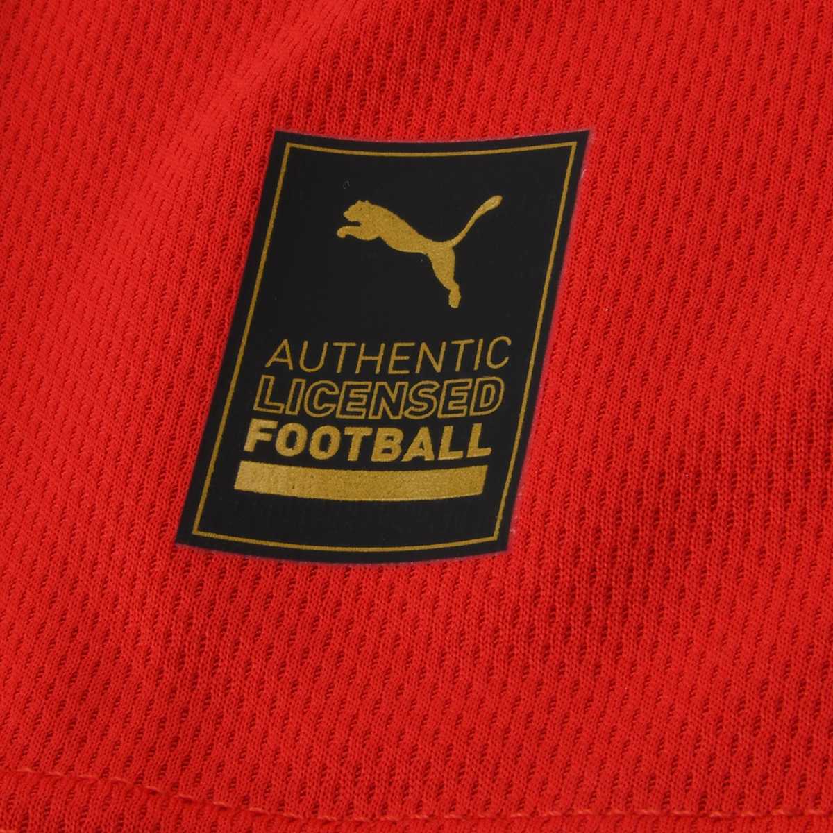Camiseta Puma Independiente Titular 23/24 para Niños,  image number null