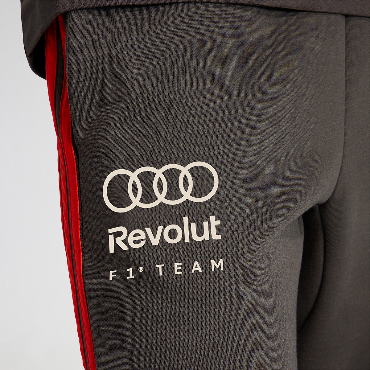 Pantal&oacute;n adidas Audi Revolut F1 DNA,  image number null