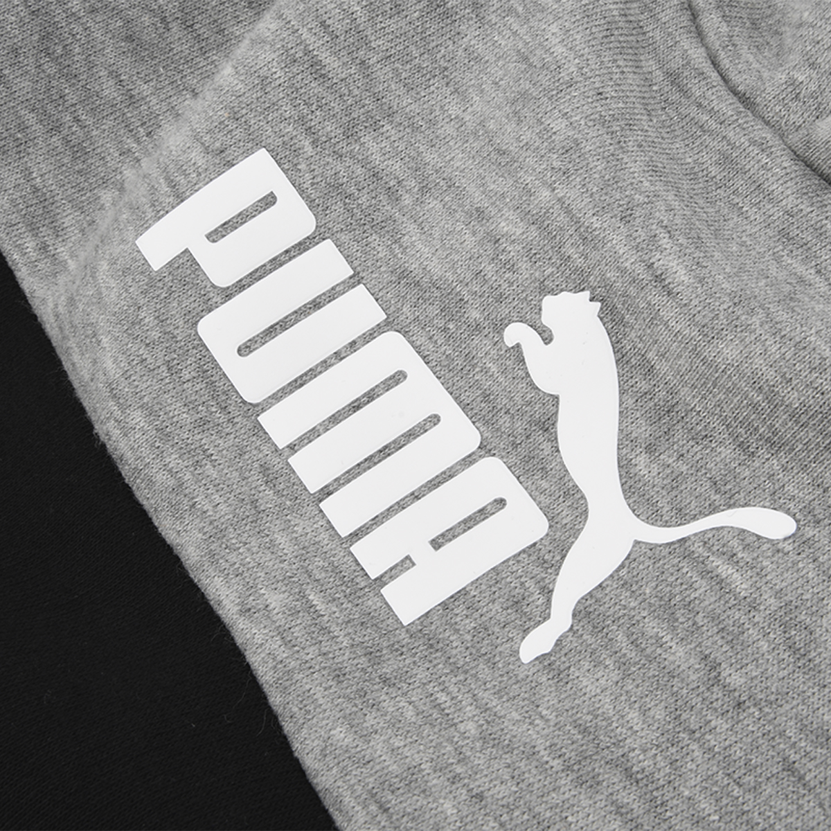 Buzo Puma Essentials Block Hombre,  image number null