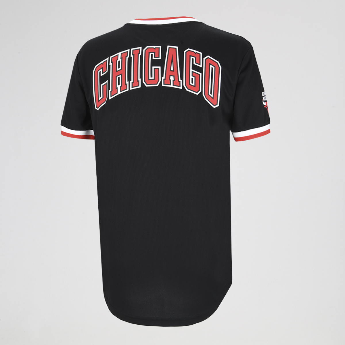 Remera NBA Chicago Bulls Team Logo Hombre,  image number null