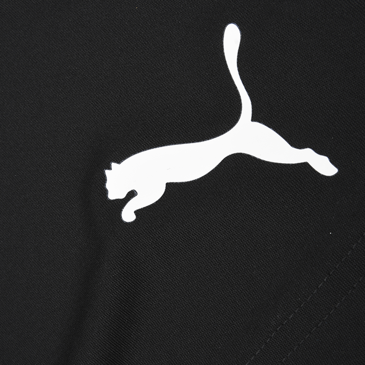 Short Fútbol Puma Teamliga Hombre,  image number null