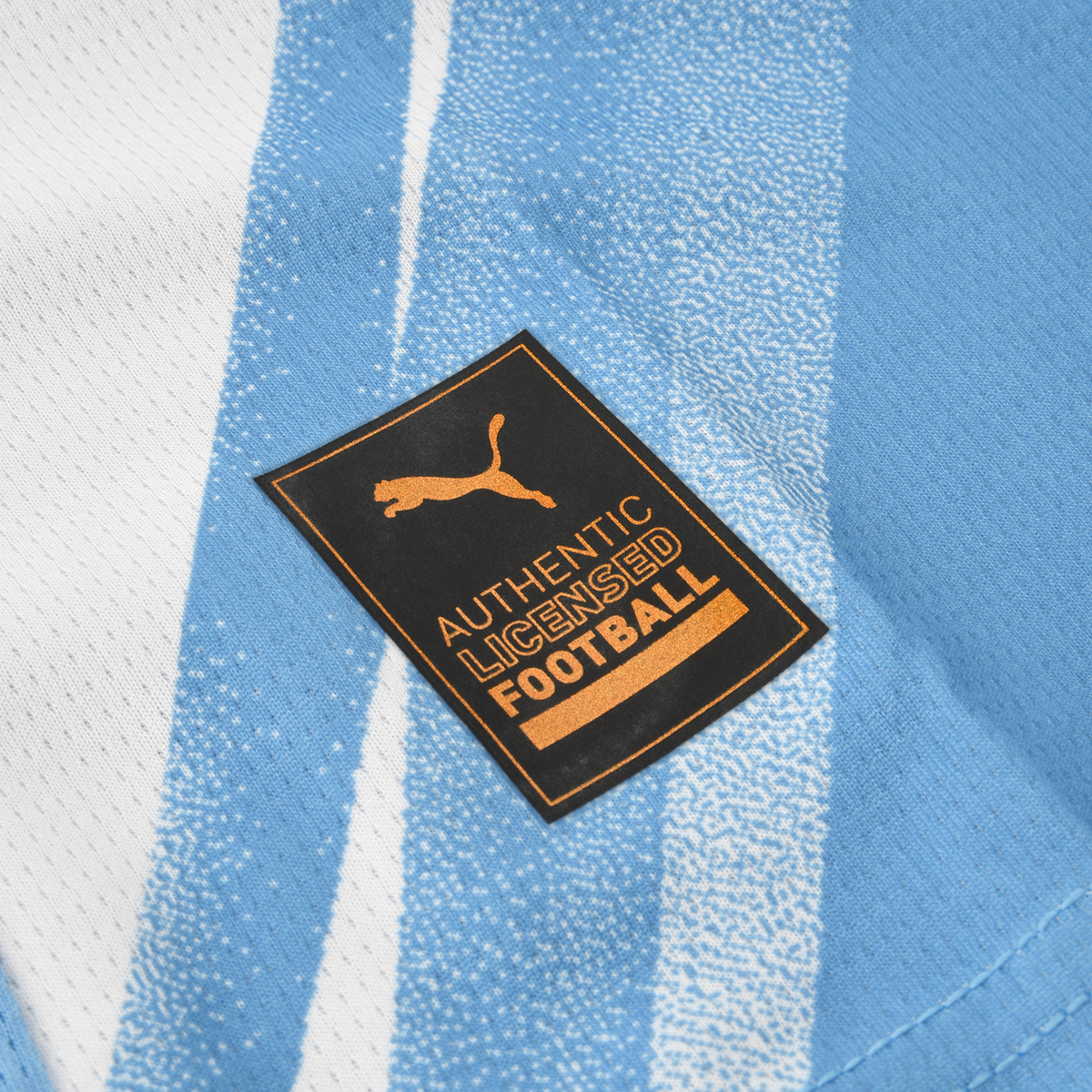 Camiseta Manchester City Puma Titular 25/26 Hombre,  image number null