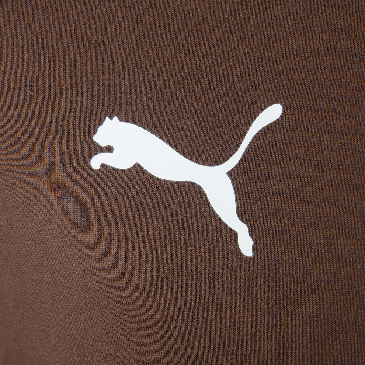 Remera Platense Puma FTBLculture 26 27 Hombre,  image number null