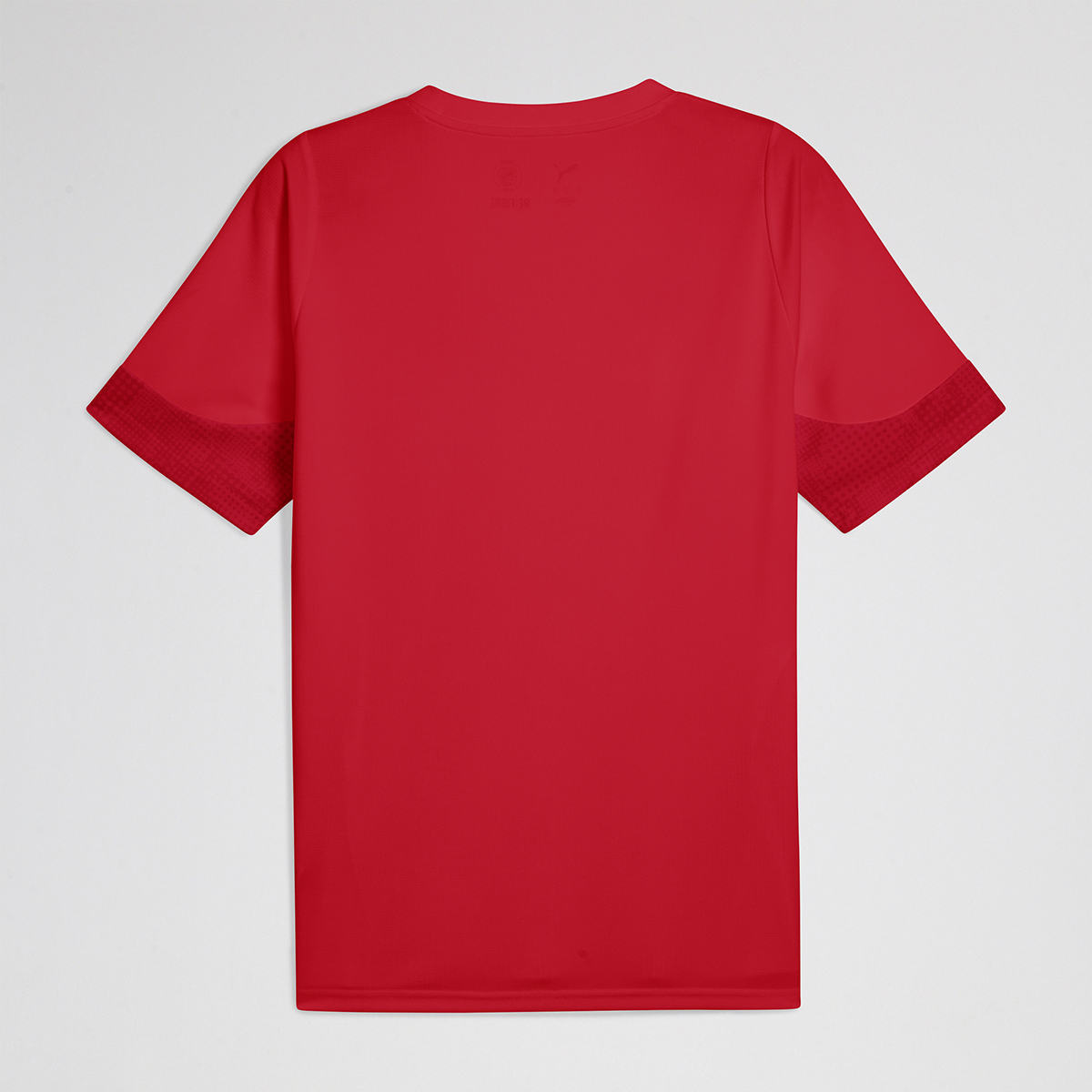 Remera Independiente Puma Entrenamiento Hombre,  image number null