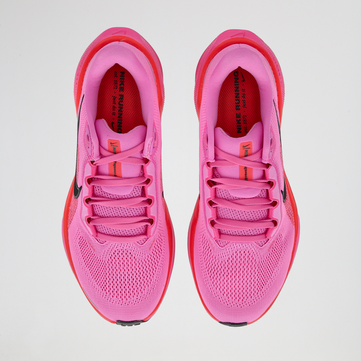 Zapatillas Running Nike Pegasus 41 Mujer,  image number null
