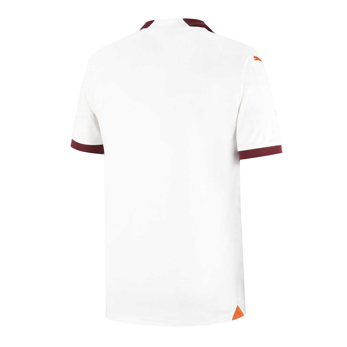 Camiseta Puma Manchester City Suplente 23/24 Hombre,  image number null