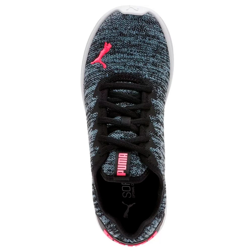 Ballast puma discount