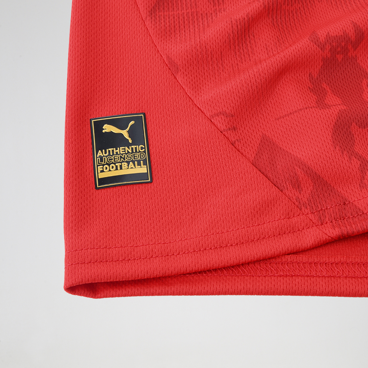 Camiseta Puma Independiente Titular 24/25 de Hombre,  image number null