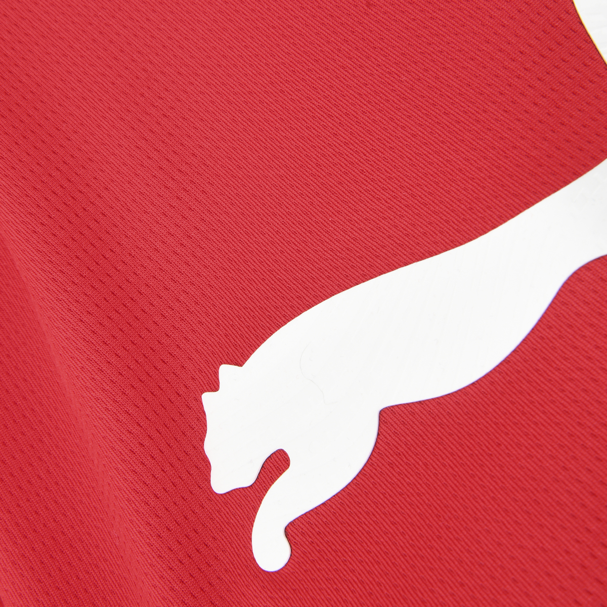 Camiseta Puma Individual Final Hombre,  image number null