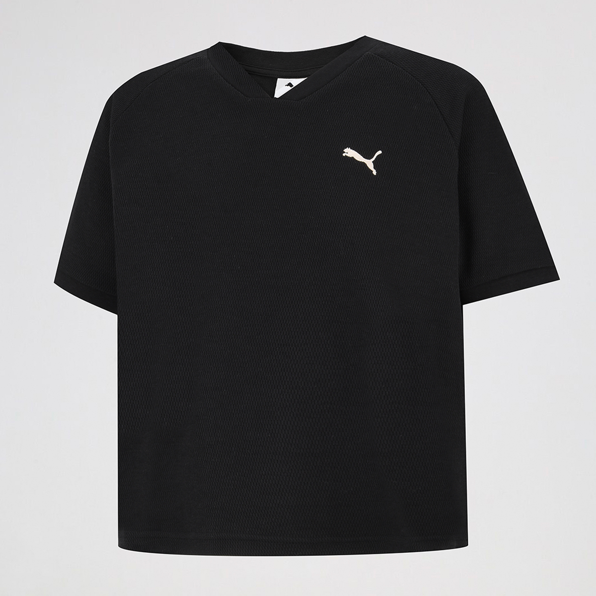 Remera Puma Class Relaxed Pinnacle Mujer,  image number null