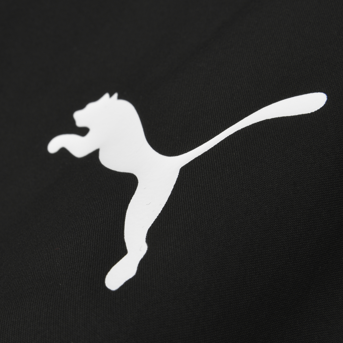 Campera Puma Milan Pre Partido 24 Hombre,  image number null