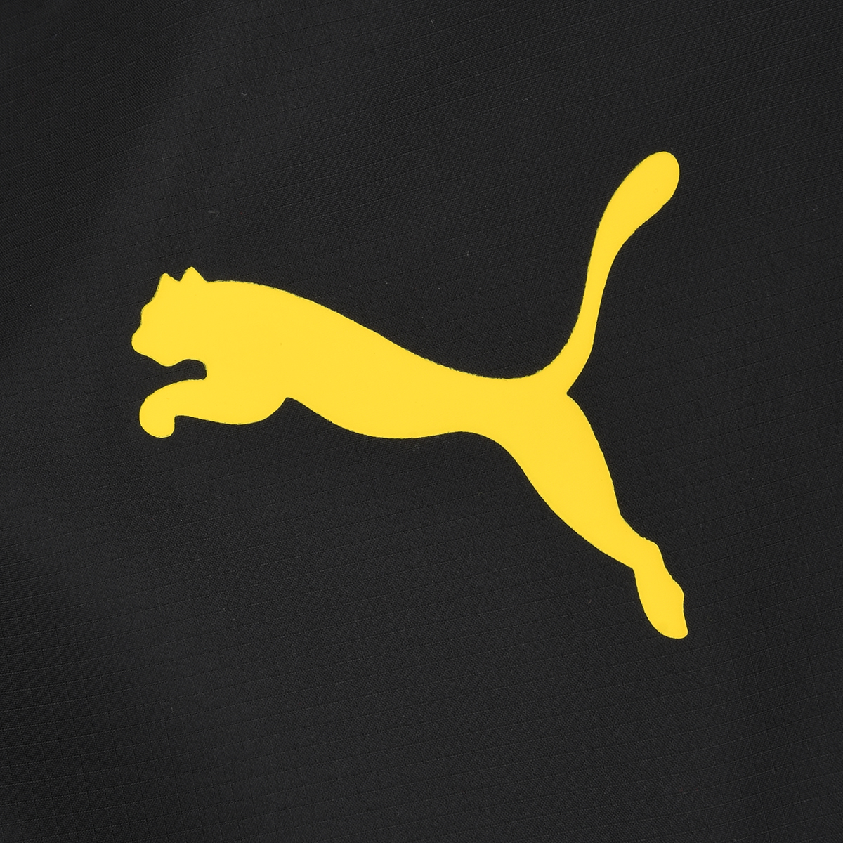 Campera Puma Borussia Dortmund Alternativa Hombre,  image number null