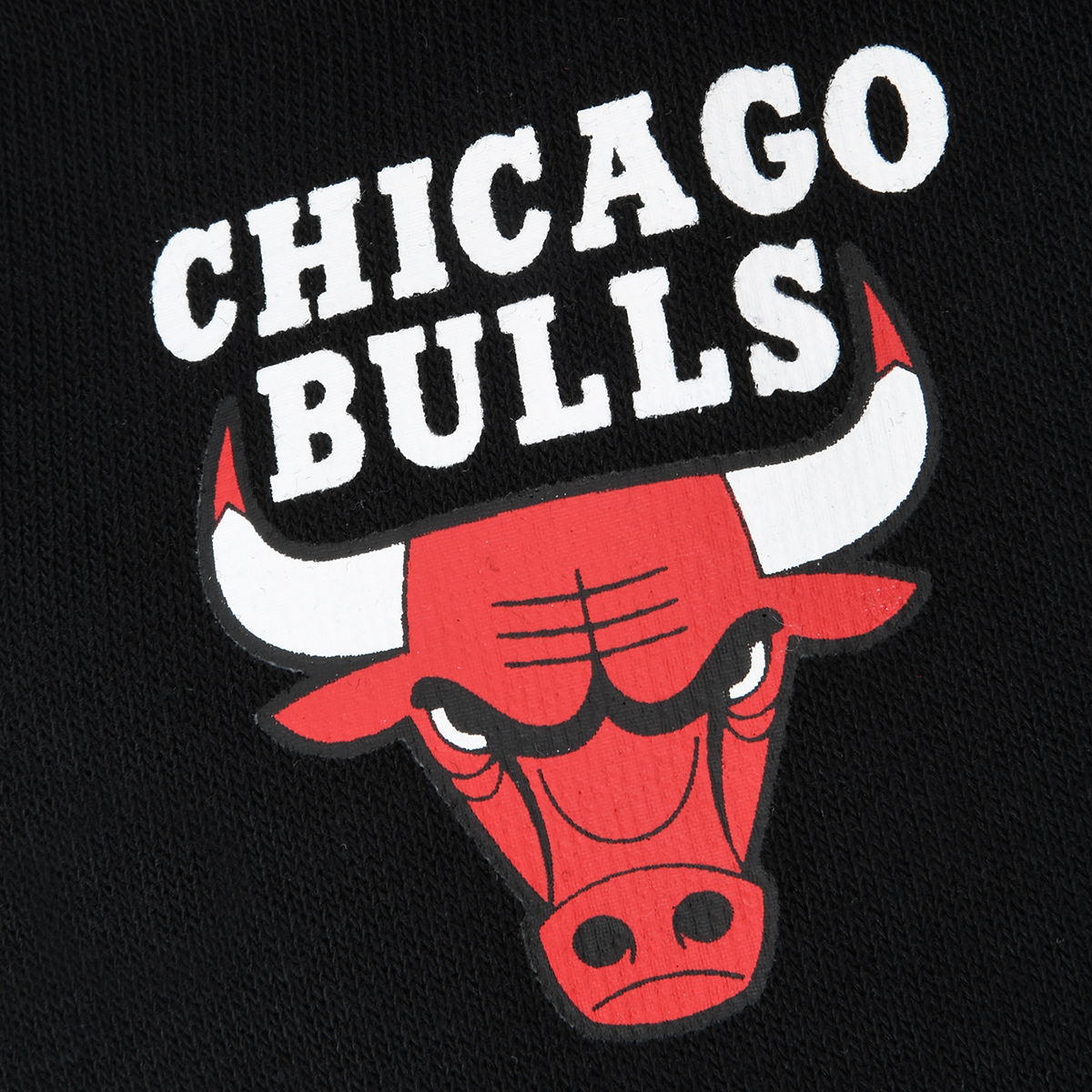Buzo NBA Chicago Bulls City Dunk Térmico Niño,  image number null