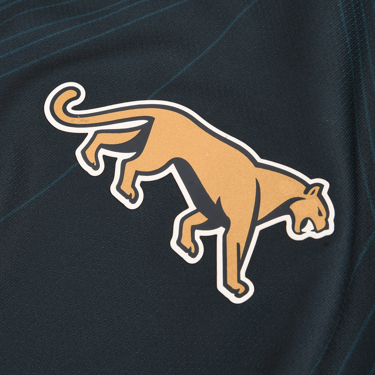 Camiseta Le Coq Sportif Los Pumas Suplente Fan 2024 Hombre,  image number null