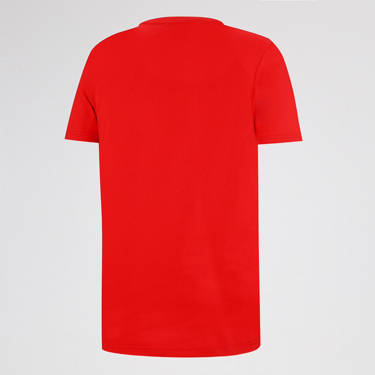 Remera Independiente Puma FTBL Hombre,  image number null