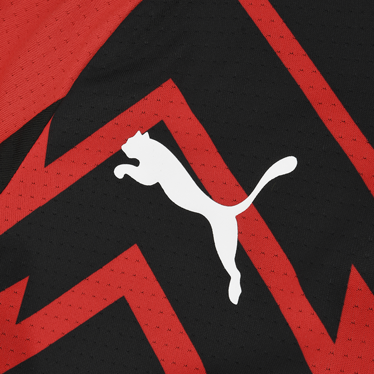 Camiseta Milan Puma Pre-partido 23-24 Hombre,  image number null