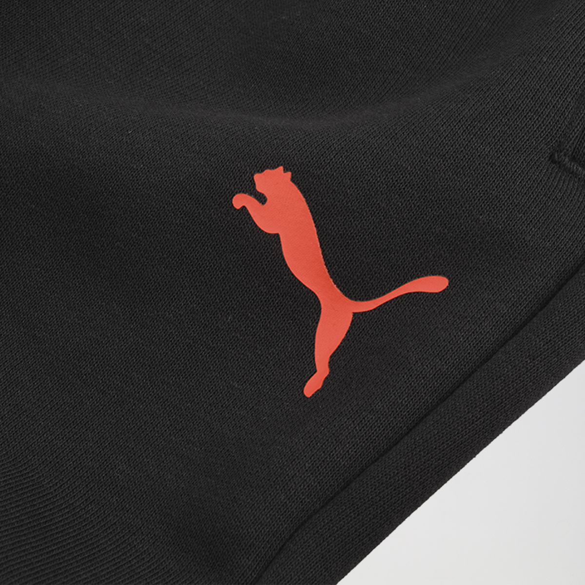 Pantal&oacute;n Puma F1 ESS Motorsport Hombre,  image number null
