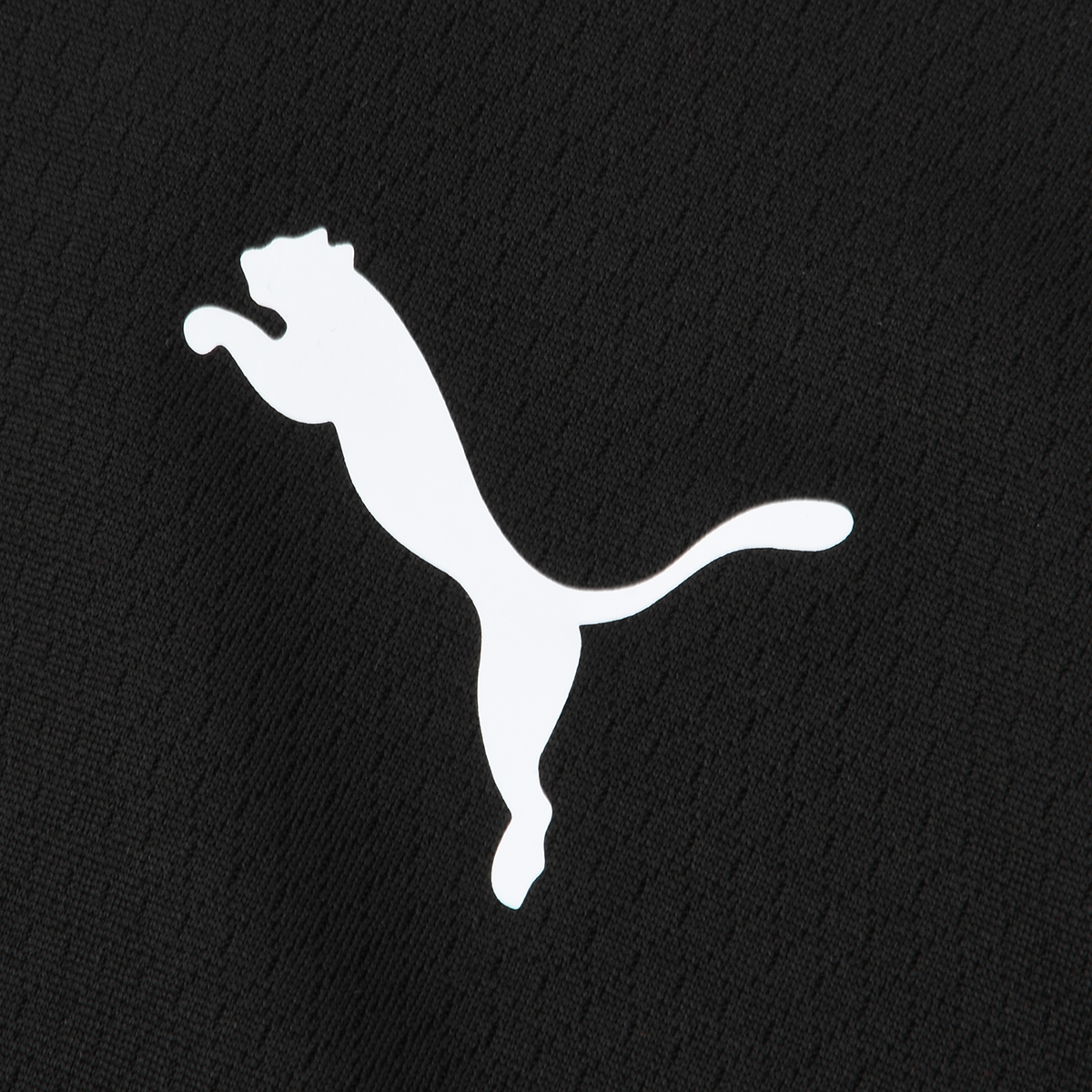 Remera Puma Essential Poly de Hombre,  image number null