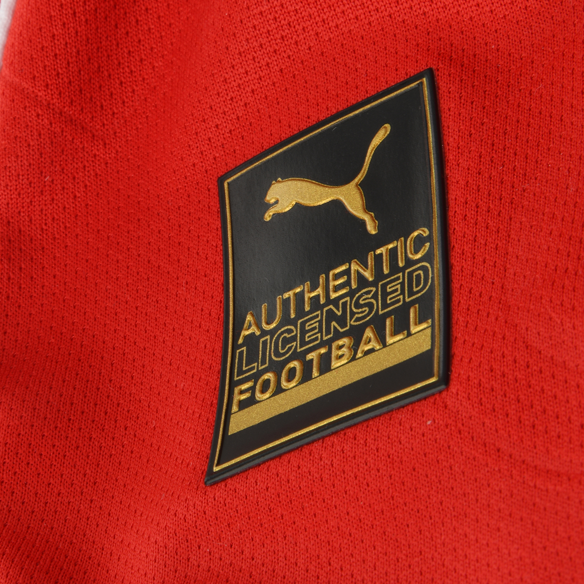 Camiseta Independiente Puma Titular 2026 Hombre,  image number null