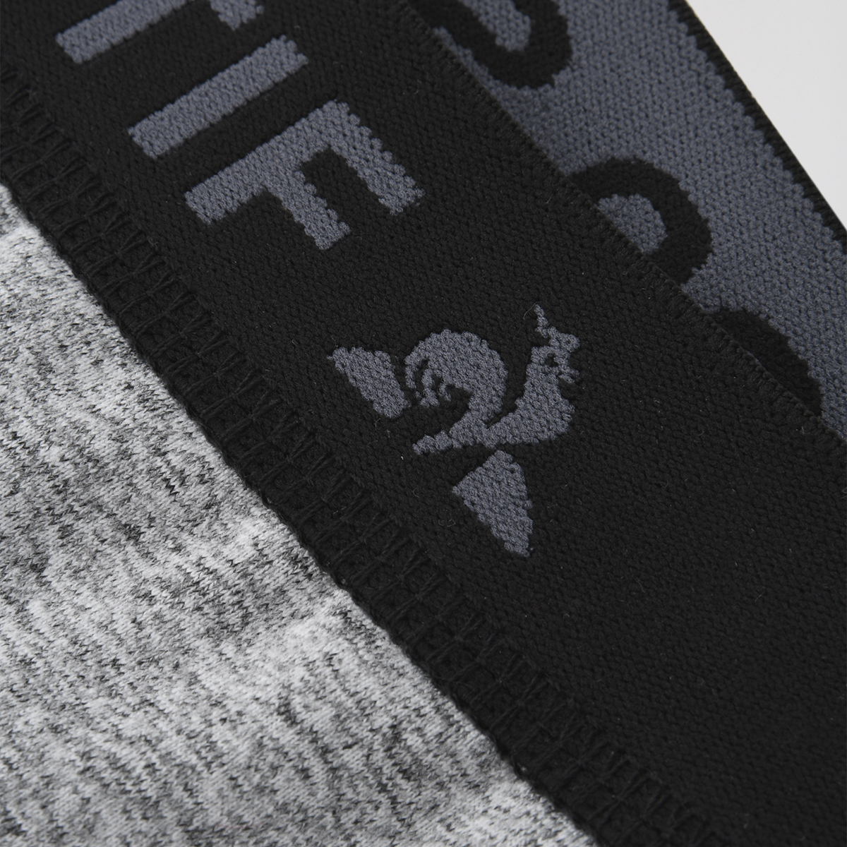 Calza Le Coq Sportif Training Hombre,  image number null