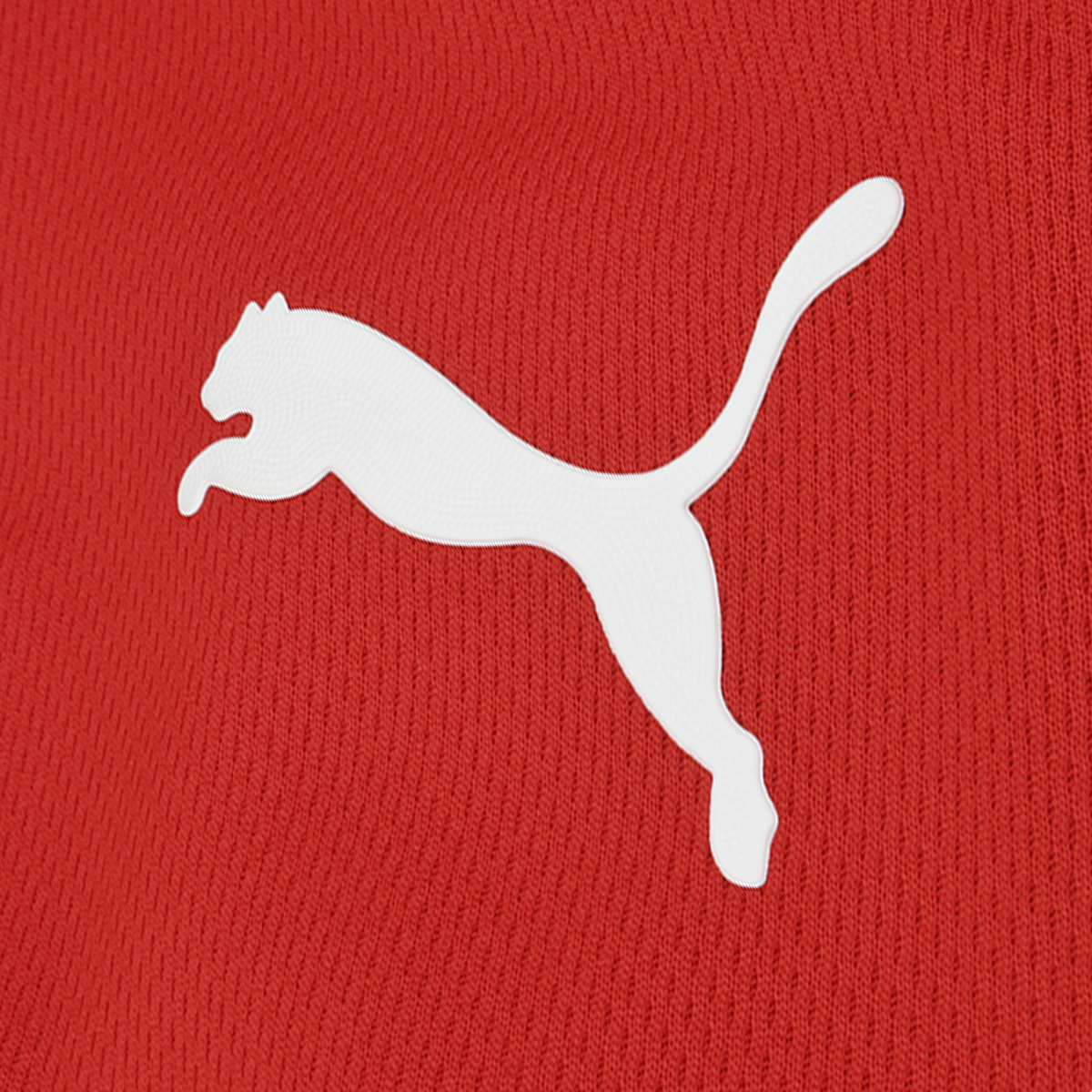 Camiseta Puma Independiente Titular 2024 Hombre,  image number null