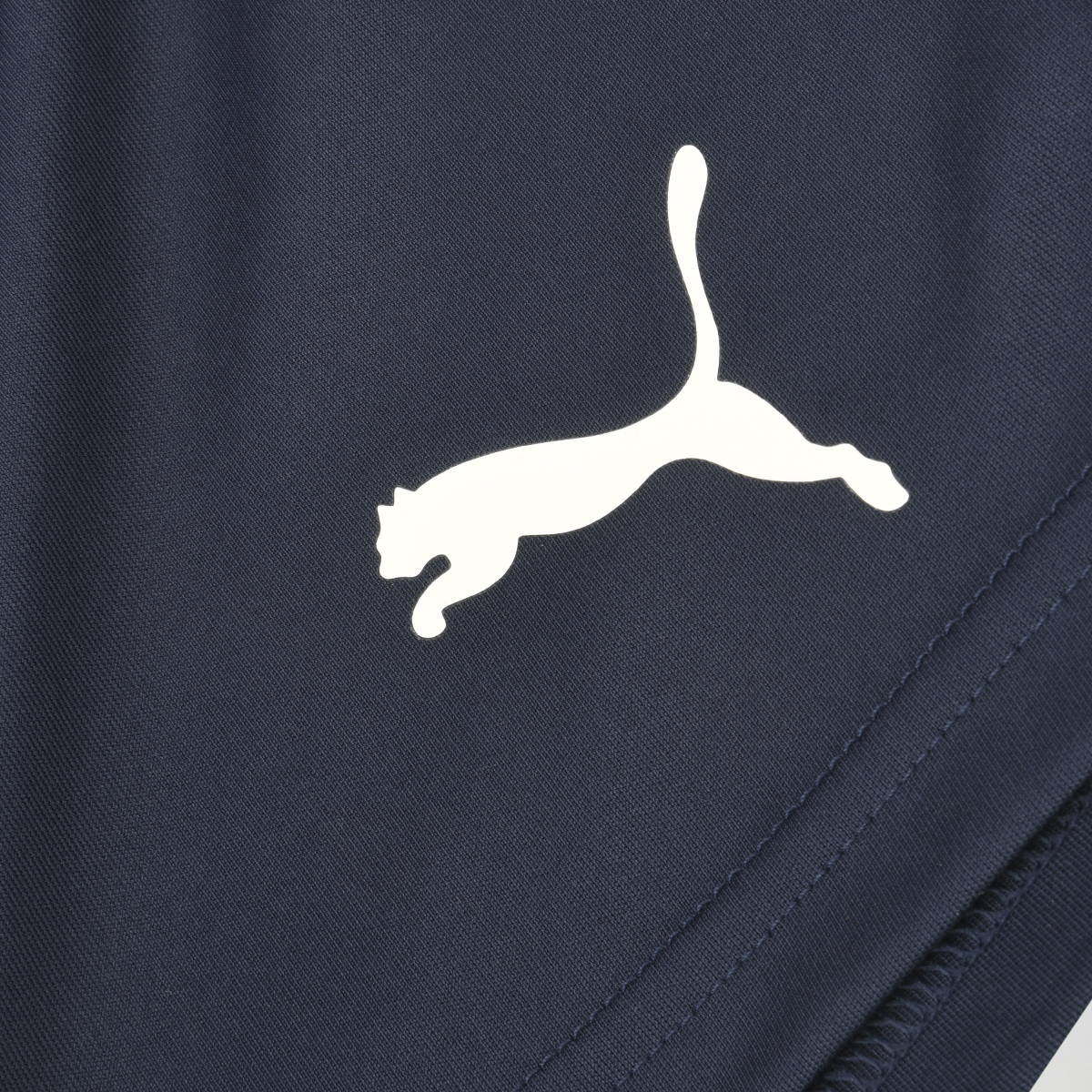 Short Entrenamiento Puma Teamrise Hombre,  image number null