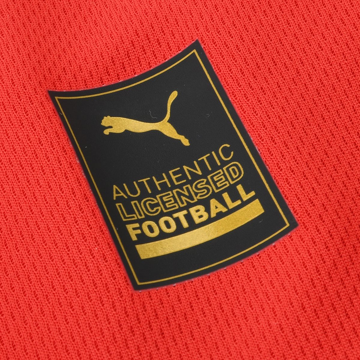 Camiseta Puma Independiente Titular Promo 23/24 Hombre,  image number null