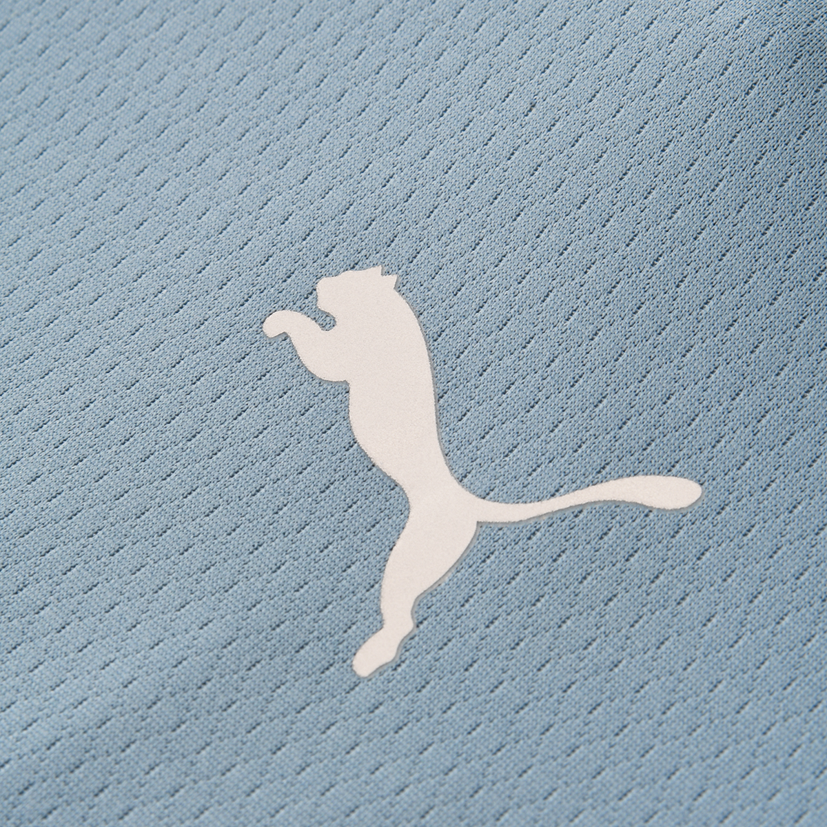 Remera Entrenamiento Puma Flex,  image number null