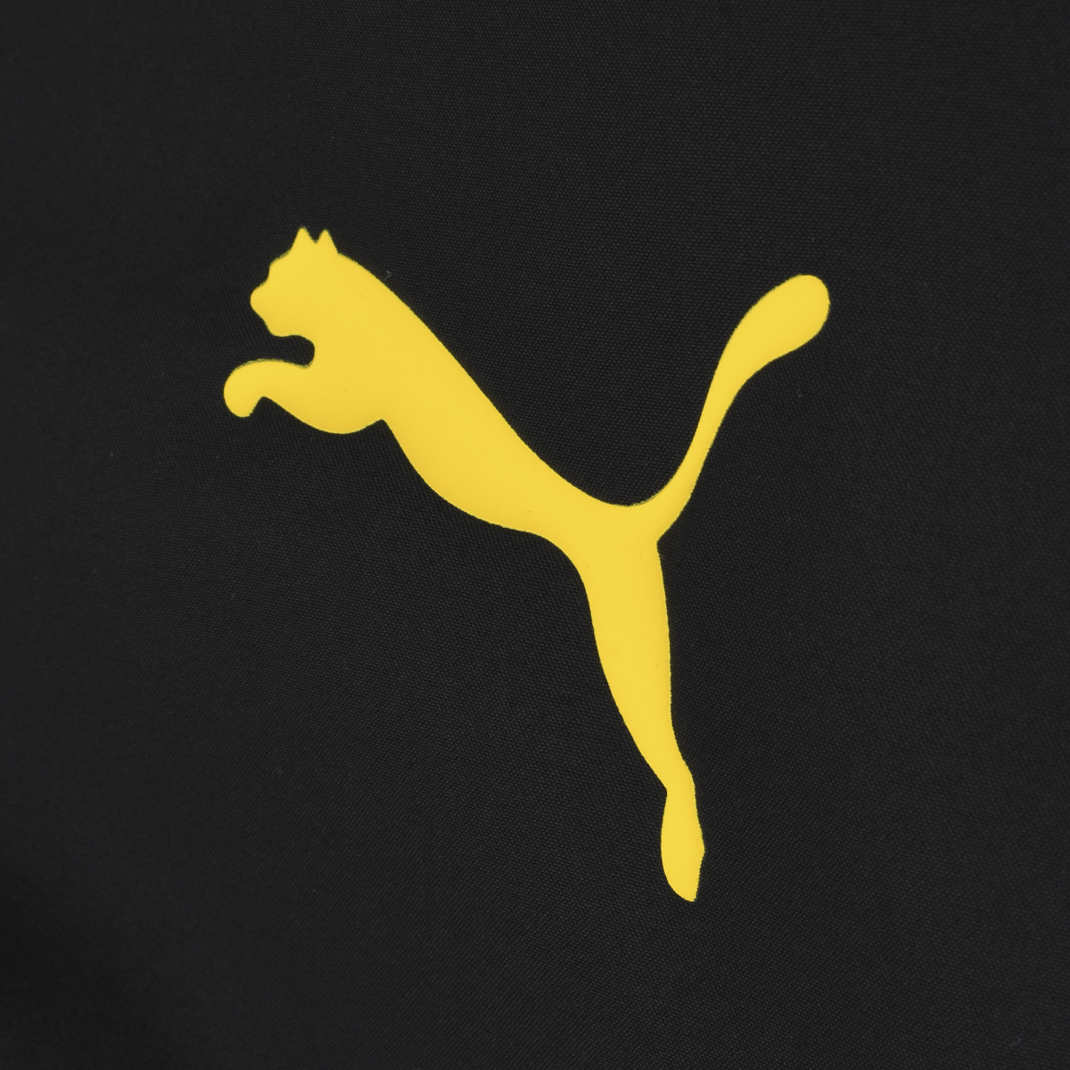 Campera Borussia Dortmund Puma Entrenamiento 24 Hombre,  image number null