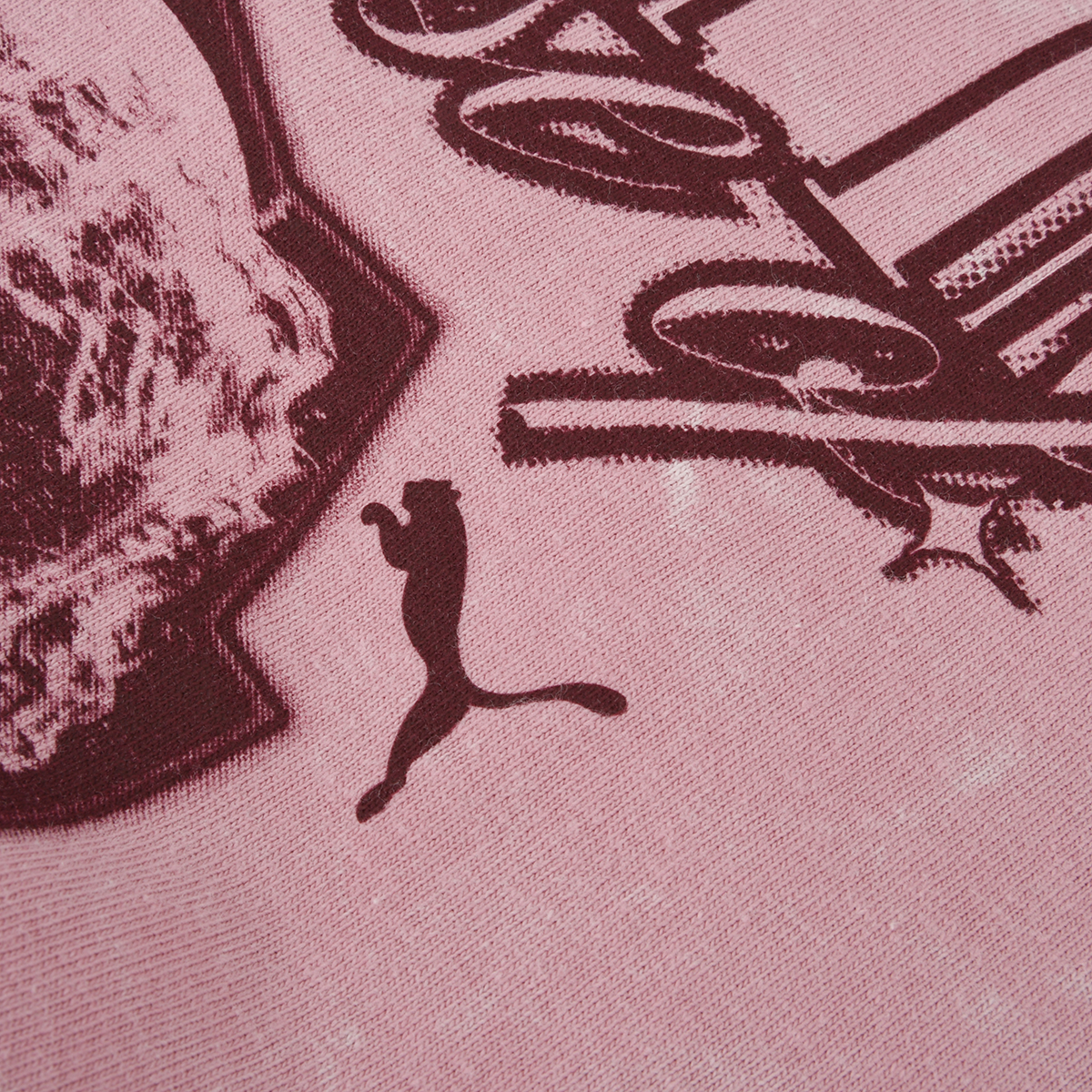 Remera Puma Graphic Paradise Hombre,  image number null