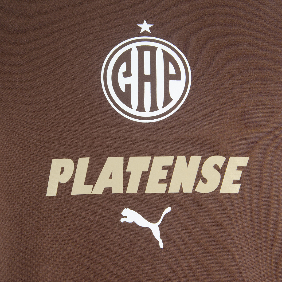 Remera Platense Puma FTBLculture 26 27 Hombre,  image number null
