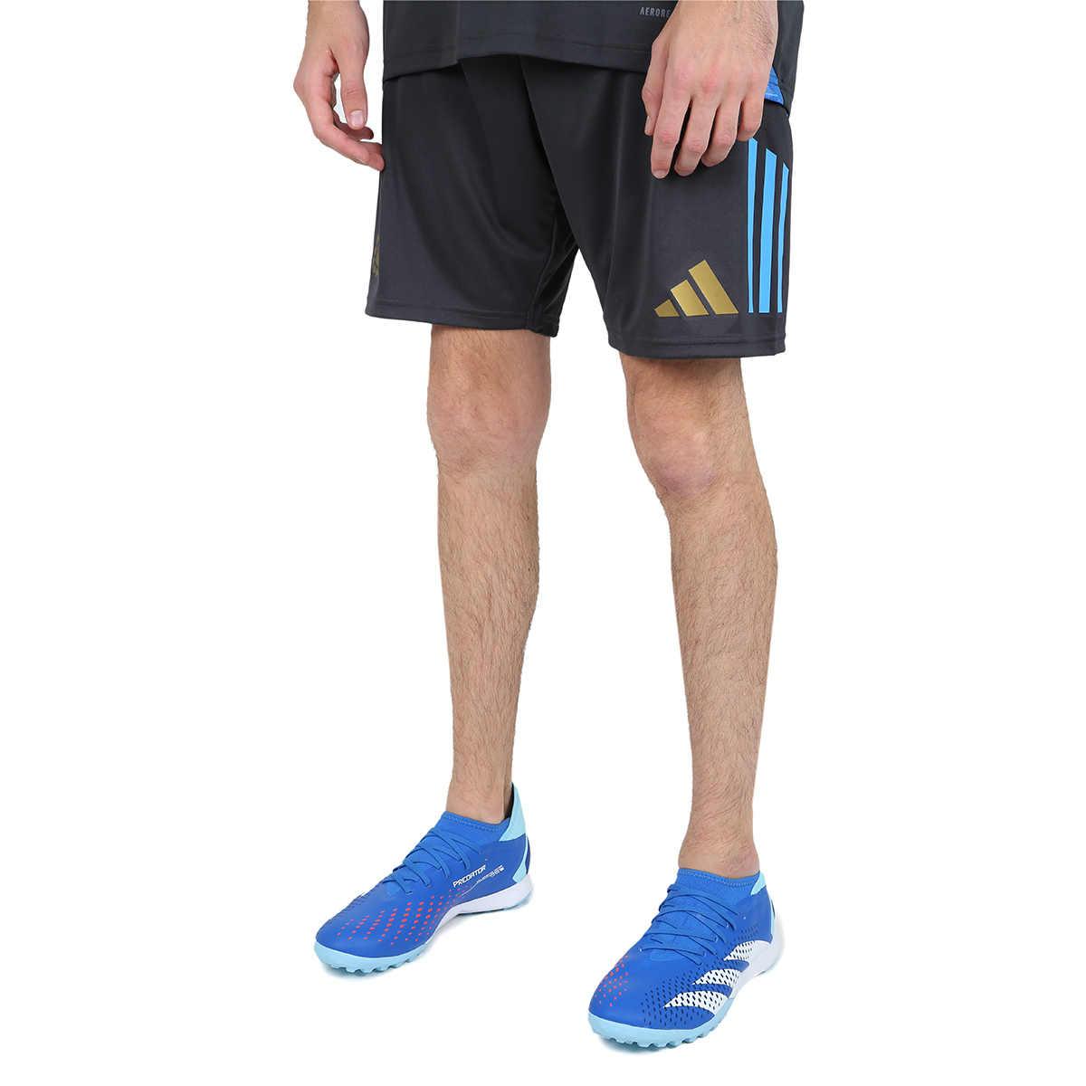 Short Fútbol adidas Argentina Tiro 24 Hombre,  image number null