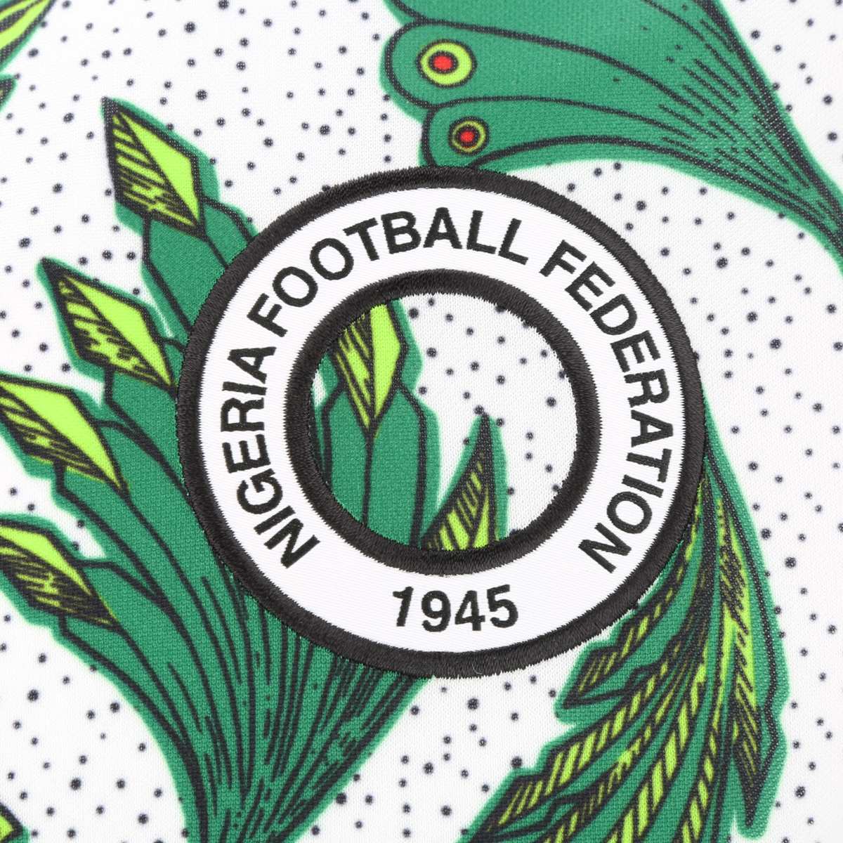 Camiseta Nike Nigeria Pre-Match 2020,  image number null