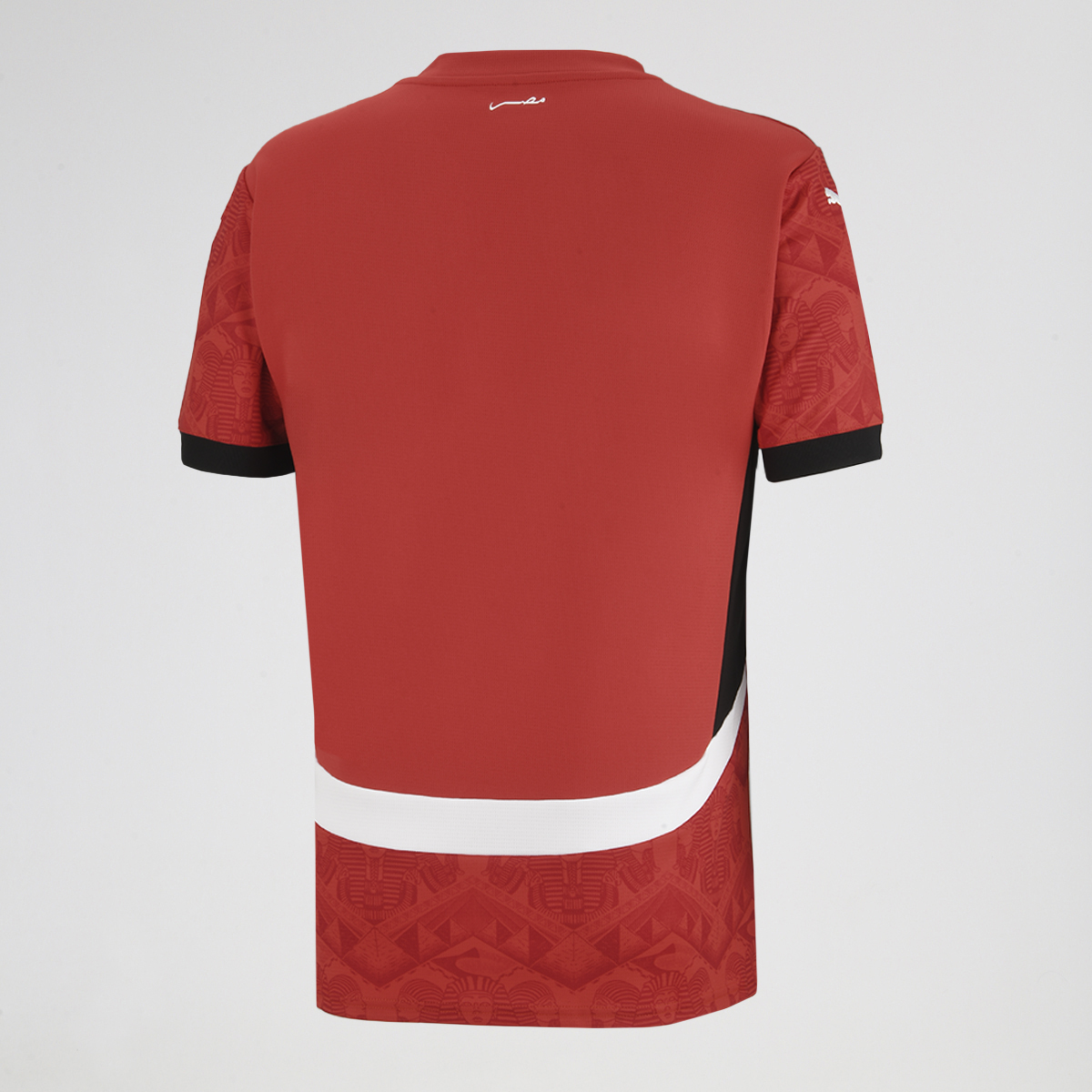 Camiseta Egipto Puma Titular 2025 de Hombre,  image number null