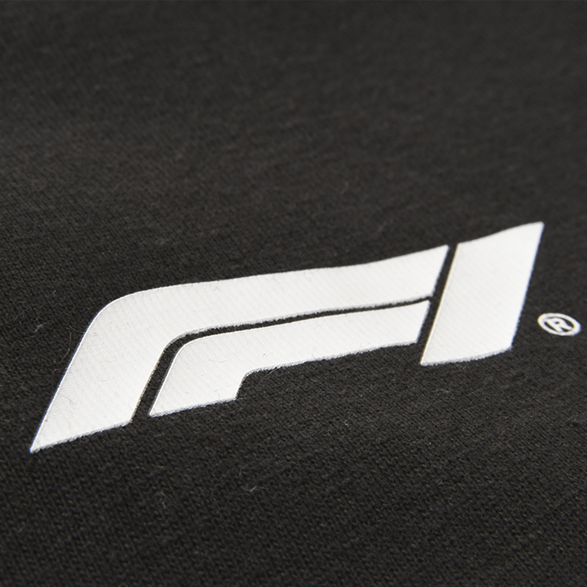 Remera Puma F1 SDS 2.0 Hombre,  image number null
