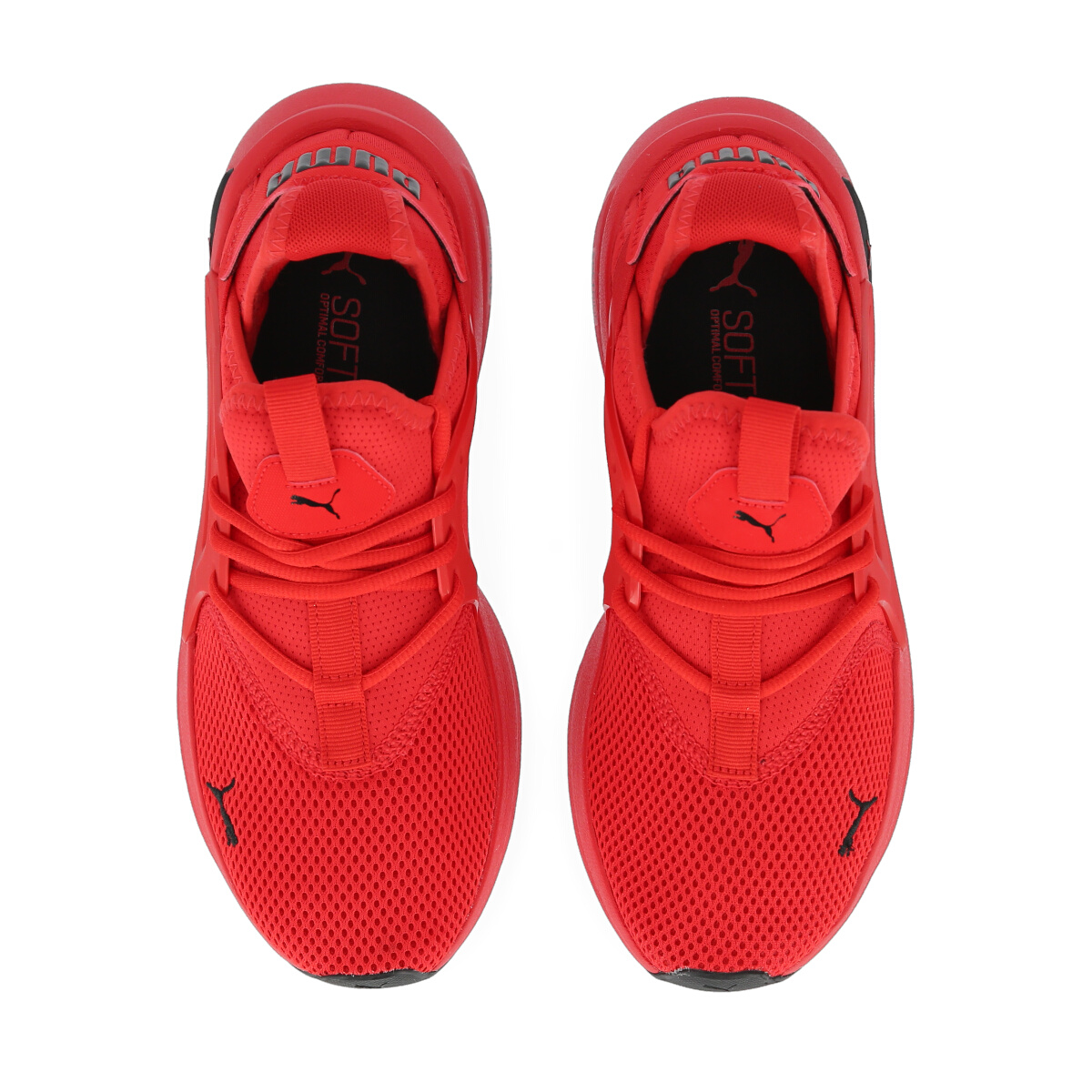 Zapatillas Puma Softride Enzo Evolve Infantil,  image number null
