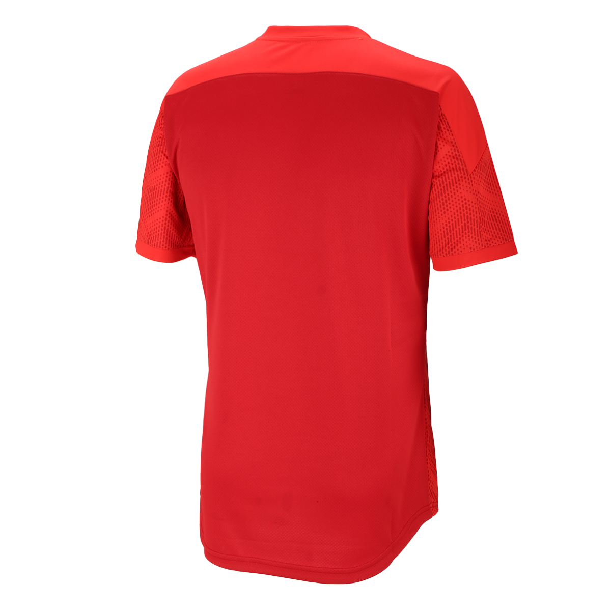 Camiseta Puma Independiente Pre-Match 2020/21,  image number null