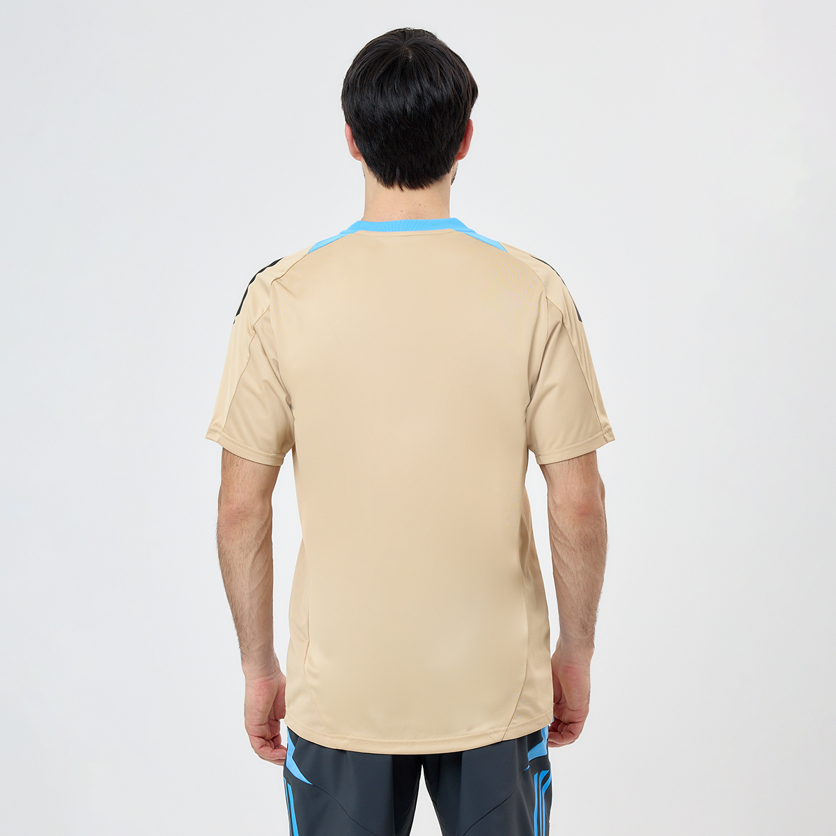 Camiseta Fútbol adidas Argentina Entrenamiento 2024 Hombre,  image number null
