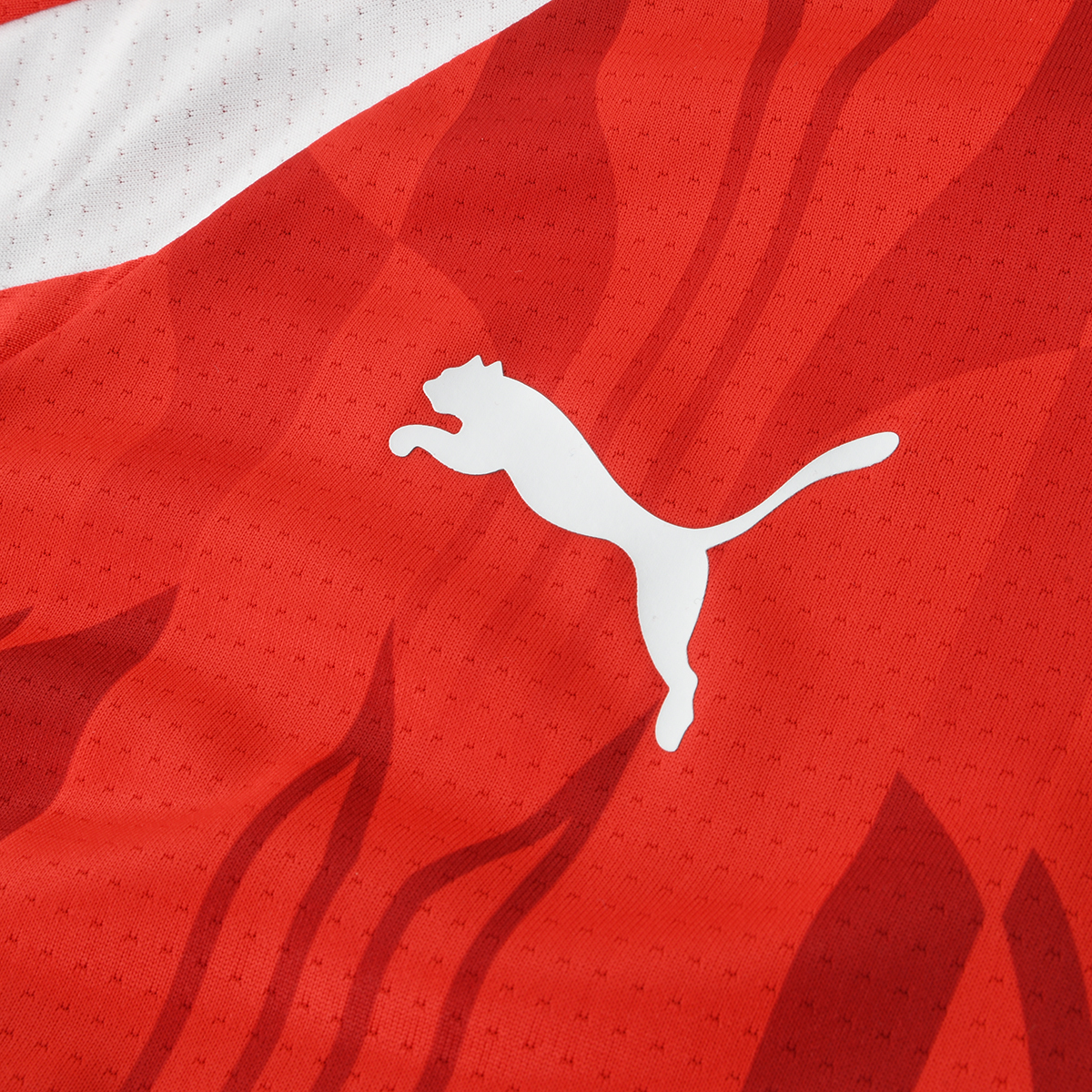 Camiseta Fútbol Puma Cai Prematch Ss Hombre,  image number null