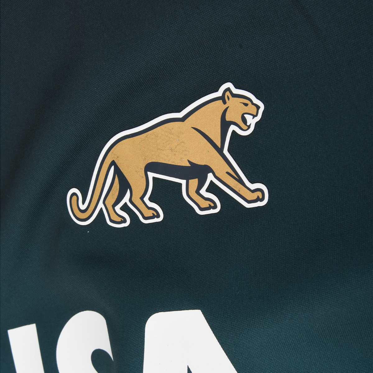 Camiseta Rugby Le Coq Sportif Pumas Entrenamiento Fan 2024 Hombre,  image number null