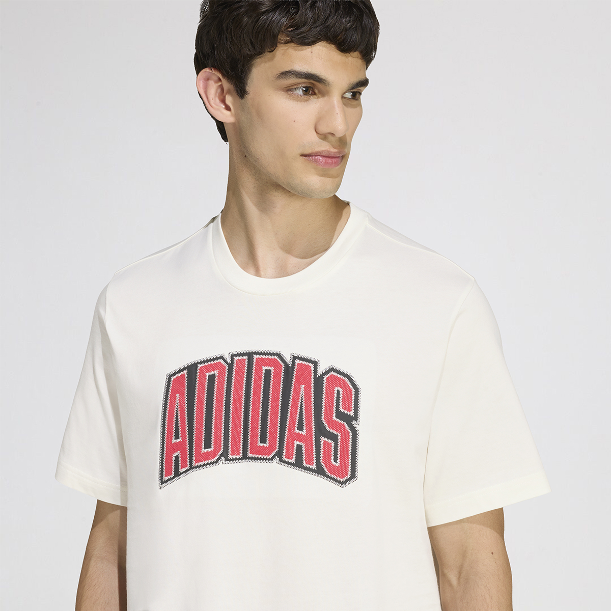Remera adidas Collegiate Graphic Hombre,  image number null