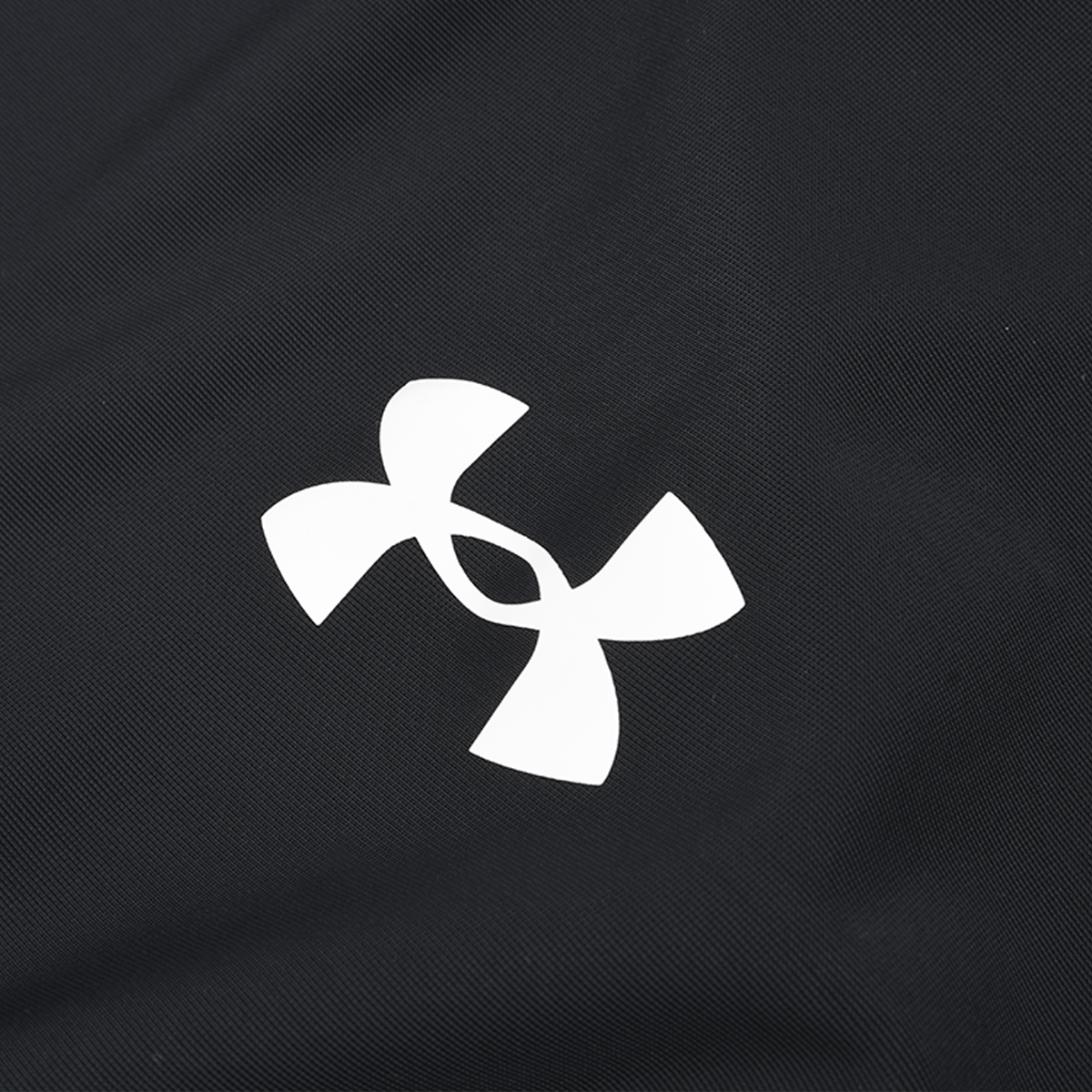 Remera Running Under Armour HeatGear OG Manga Larga Mujer,  image number null