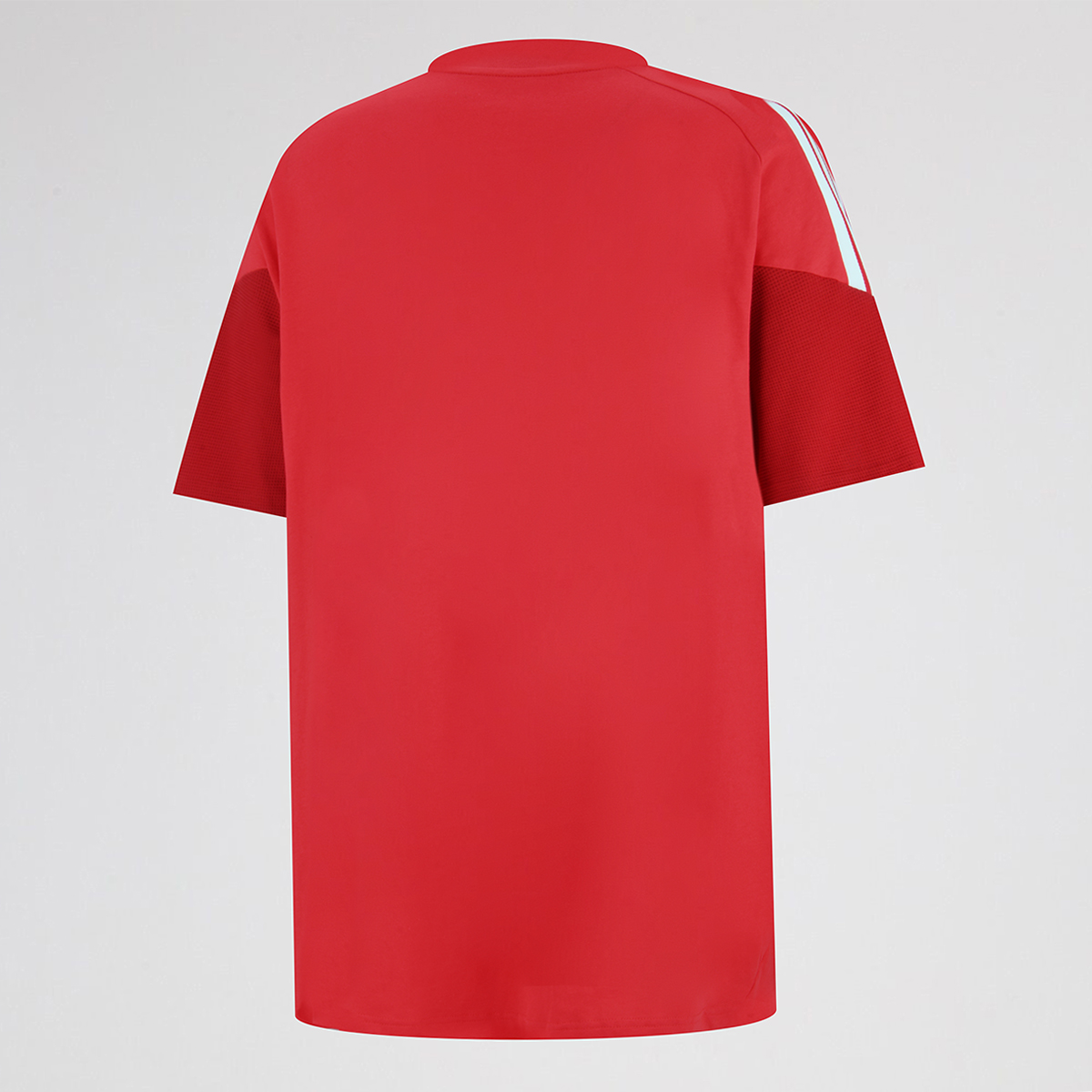 Remera River Plate adidas 26 27 Hombre,  image number null