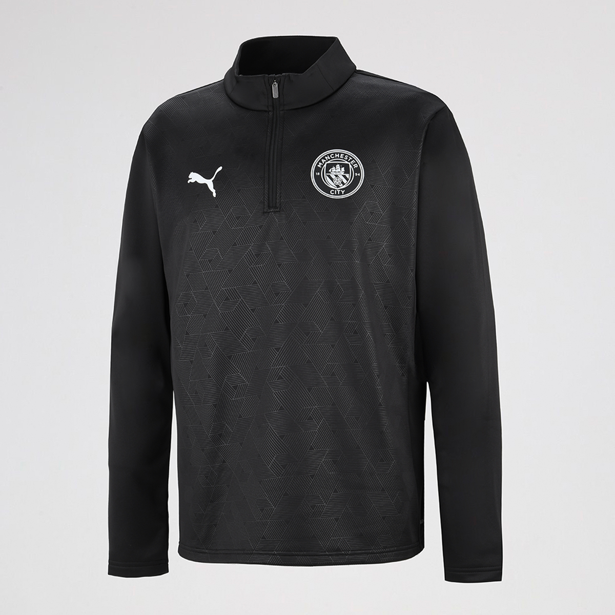 Buzo Manchester City Puma Entrenamiento 25/26 Hombre,  image number null